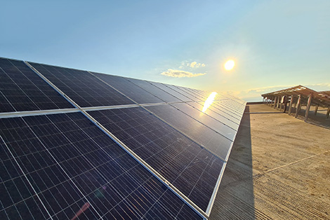 ドイツに設置された太陽光発電容量は、記録的な高さに達しました。